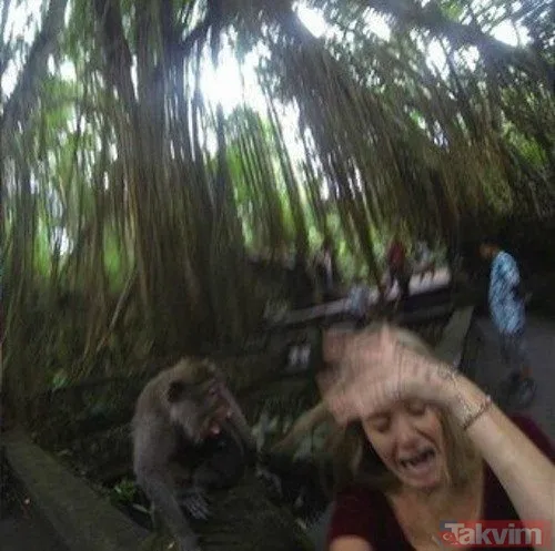 Sadece selfie çekmek istemişti! Başına öyle bir şey geldi ki... - 10