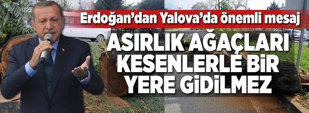 Erdoğan: Asırlık ağaçları kesenlerle bir yere gidilmez-1