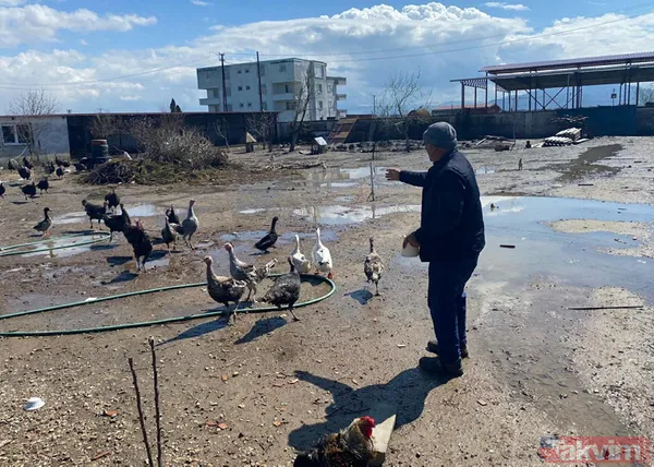 Tanesi 7 TL'ye yumurta! Yere atıldığında bile kolay kolay kırılmıyor - 5