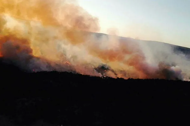 Eskişehir'de orman yangını