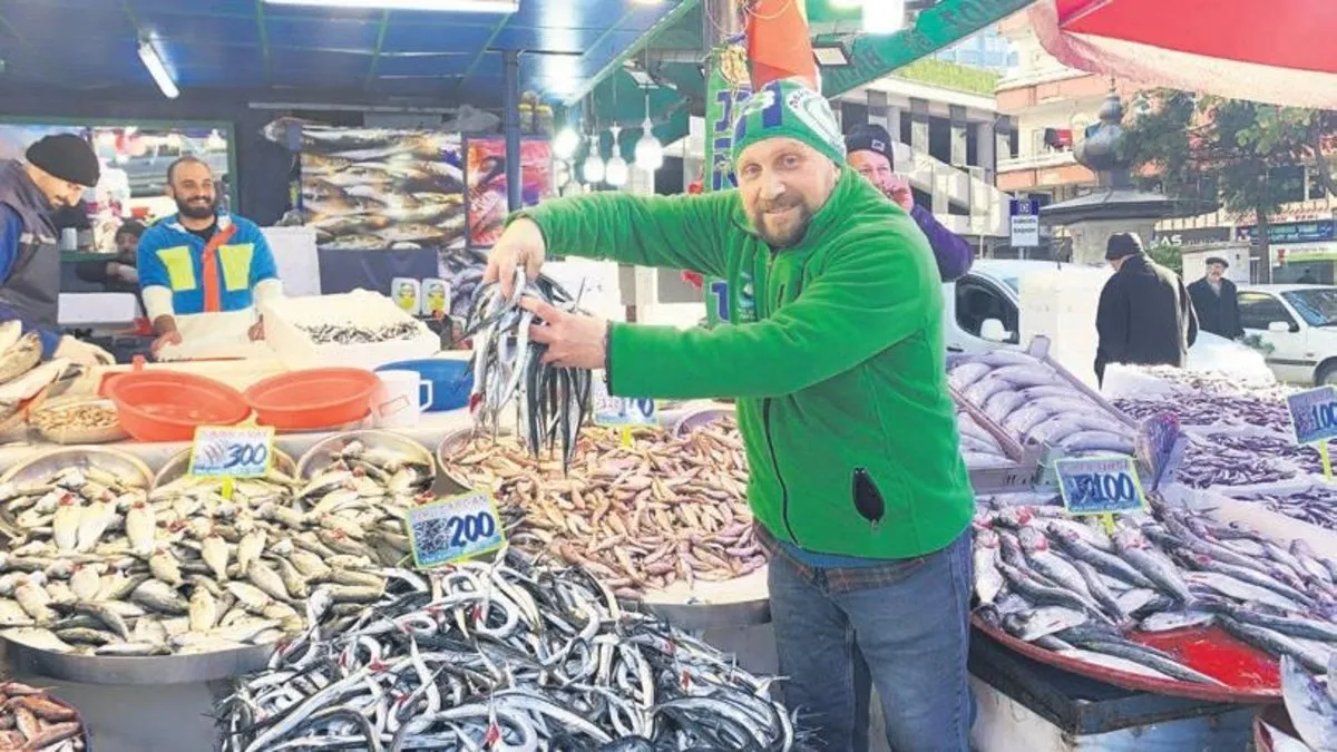 Hamsi 100 liraya düştü