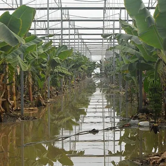 Hortum seralara zarar verdi