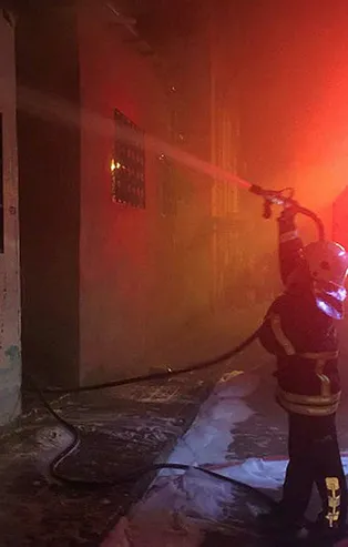 Aydın'da yangın! Koyunlar telef oldu