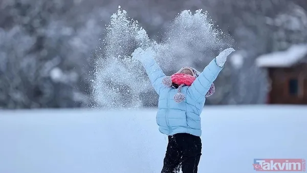 Valilik listeyi duyurdu! 5 Ocak 2026 kar tatili olan iller son dakika: Ankara, Van, Batman, Şanlıurfa... - 18