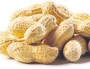 Mide dostu yer fıstığı