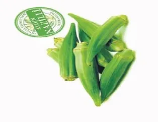 Bamya yaşlanmayı geciktiriyor