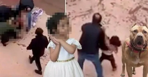 gaziantepteki-pitbull-cinsi-kopeklerin-minik-asiye-atese-saldirisina-iliskin-flas-gelisme-tutuklu-sayisi-yukseldi-1640706388836.jpeg Gaziantep'teki pitbull cinsi köpeklerin minik Asiye Ateş'e saldırısına ilişkin flaş gelişme! Tutuklu sayısı yükseldi-6