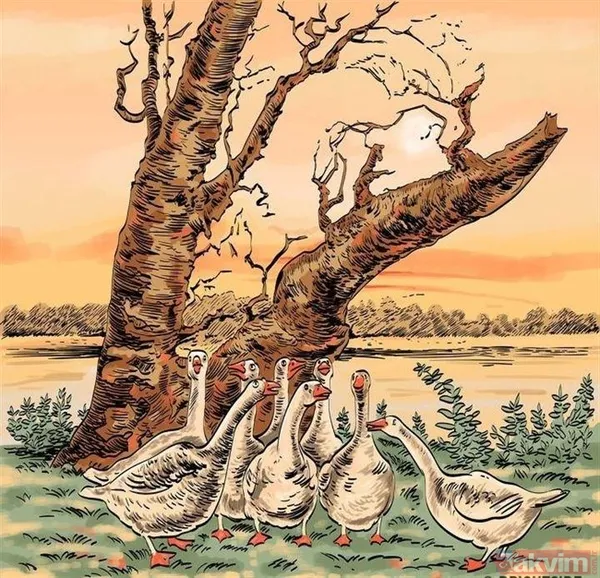 Bu testi çözmek o kadar kolay değil benim diyen zor çözer! Sadece dahiler 30 saniyede çözüyor - 45