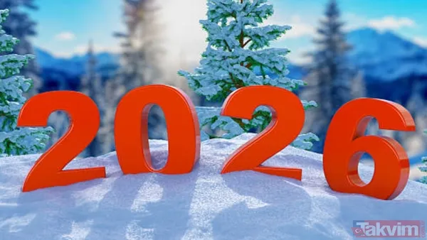 Yılbaşında neden hindi yenir? Bu geleneğin hikayesi ve lokum gibi hindi yapmanın püf noktaları - 4