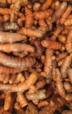 Kanserin panzehiri Zerdeçal