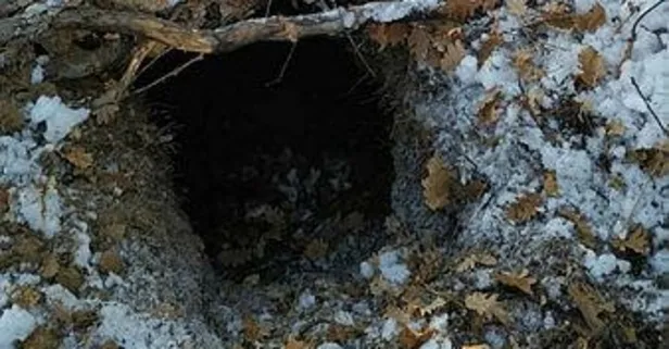 Tunceli'de PKK'lı teröristlerce kullanıldığı tespit edilen 14 sığınak imha edildi!