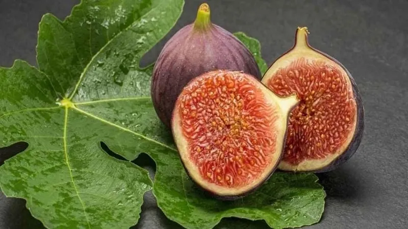 Yerken bir kez daha düşüneceksiniz: İncirin binlerce yıl saklanan gerçek yüzü! Meğerse meyve değilmiş-2