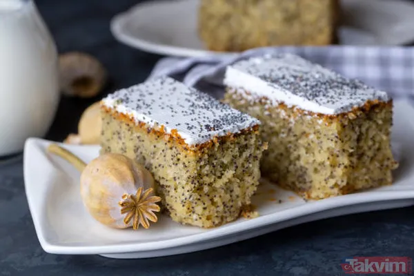 Tek bir noktası kuru kalmayacak.... Ramazana özel REVANİ TARİFİ | Tüm püf noktalarıyla tam ölçülü haşhaşlı revani tatlısı! - 22