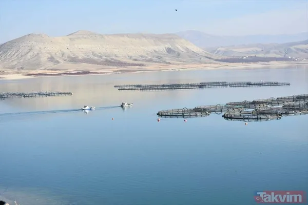 Yıllık kazançları 1 milyar TL! Deniz olmayan şehir Malatya'dan Avrupa ve Rusya'ya somon ihraç ediyorlar - 8