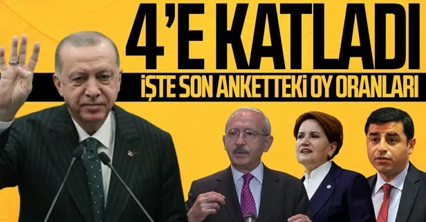 İşte son anketlere göre oy oranı! Başkan Erdoğan 4’e katladı...