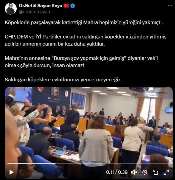 Başıboş köpeklerle ilgili düzenlemede mama lobisi TBMM'de mağdur ailelere saldırdı! AK Parti'den sert tepki: "Bunlar hayvansever değil"-7