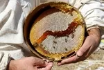 Sınırlı sayıda üretilen Türk balı satışa çıktı: Fiyatı akıllara zarar!
