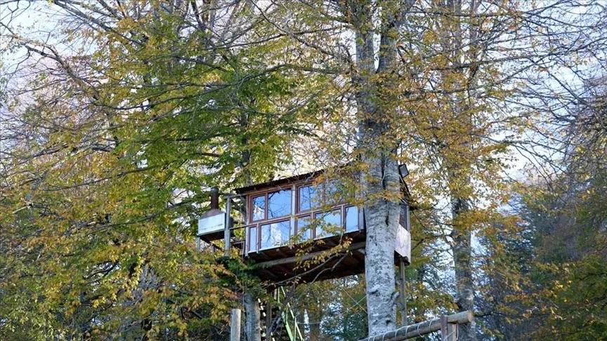 Sisli Vadi’den Hünkar Köşkü’ne: Maşukiye’de adım adım kış rotası - 1