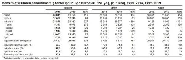 Son dakika: 2019 Ekim ayı işsizlik rakamları belli oldu-2