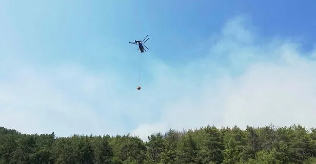 Kumluca'da orman yangını! 4 hektar zarar gördü