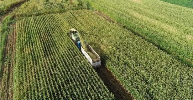 Türkiye’de tarım sayım seferberliği Temmuz’da başlıyor