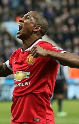 Young'dan yeşil ışık