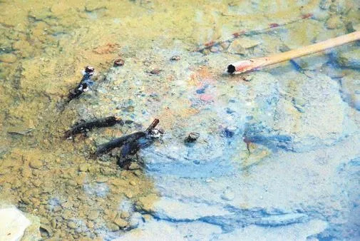 insanlik-sucu-36-kisiye-mezar-olan-ezgi-apartmaninin-bilirkisi-raporu-aciklandi-1682374275748.jpeg İnsanlık suçu: 36 kişiye mezar olan Ezgi Apartmanı'nın korkunç bilirkişi raporu açıklandı!-5