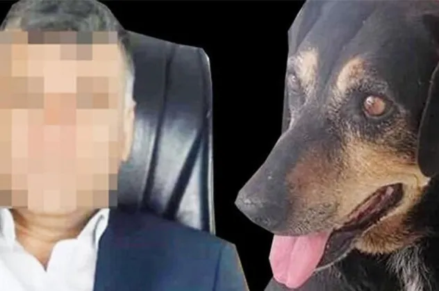 Bir ay boyunca köpeğe işkence ve tecavüz eden Mehmet Haner sosyal medyayı ayağa kaldırdı!