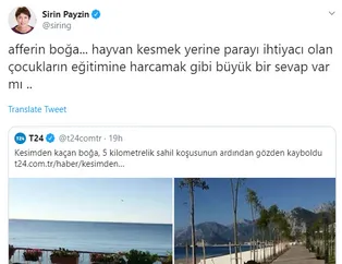 Şirin Payzın'ın kurban hazımsızlığına sosyal medyadan tepki yağdı