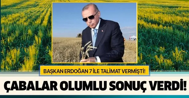 Başkan Erdoğan 7 ile talimat göndermişti! Çabalar olumlu sonuç verdi...