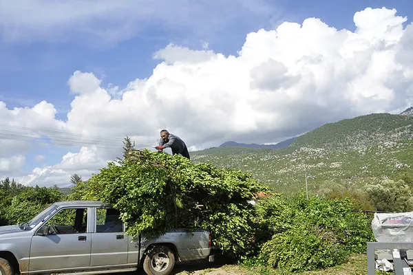 Avrupa'dan sipariş yağıyor! 5 milyon TL'lik gelir!-3