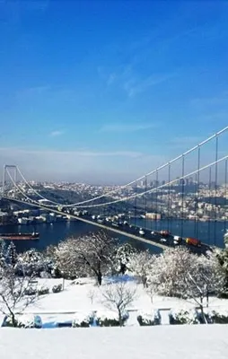 İstanbul Boğazı gemi trafiğine kapatıldı