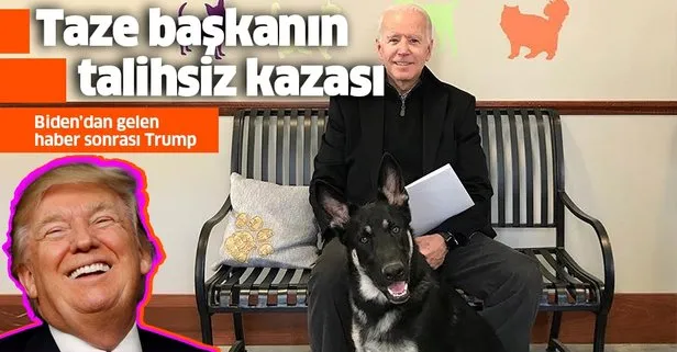 ABD Başkanı seçilen Joe Biden köpeğiyle oynarken ayak bileğini çatlattı