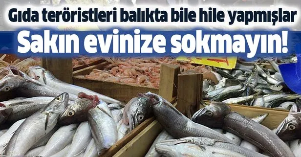 Gıda teröristleri balıkta bile hile yapıyor! Böyle balıkları evinize sokmayın!