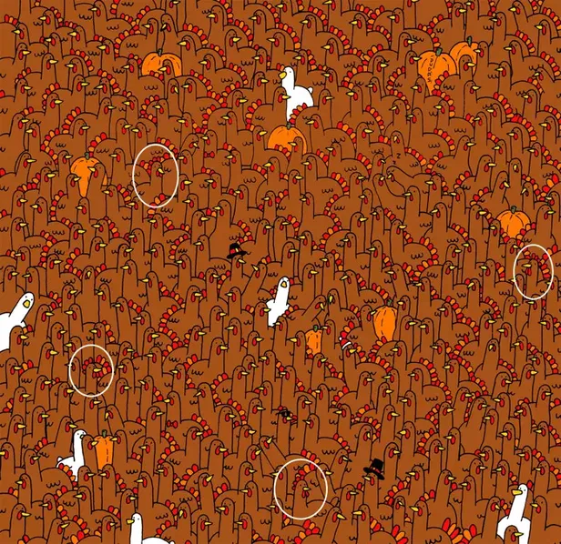 bulabilenin-iqsu-105ten-yuksek-cikiyor-resimdeki-4-horozu-sadece-bir-dahi-29-saniyede-buluyor-1699274685861.jpg Resimdeki 4 horozu sadece bir dahi 29 saniyede bulabilir! Çözeninin IQ'su 105'ten yüksek çıkıyor-5