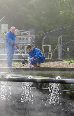 İngiltere'de bazı kabine üyeleri, koronavirüsün insan gazıyla bulaşabileceğini iddia etti