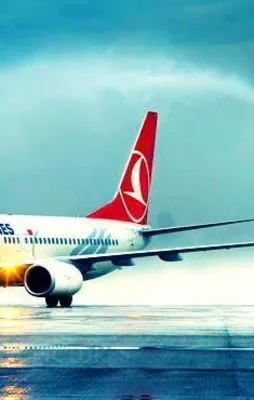 THY ödüle doymuyor