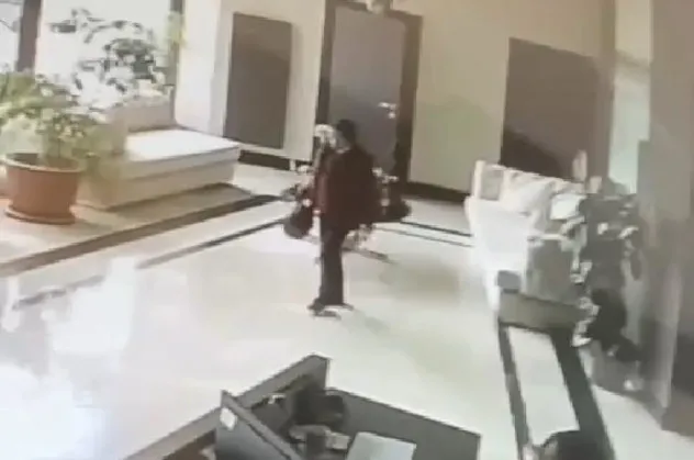 Maltepe'de kan donduran iddia: Kediyi öldürdü poşete koyup attı