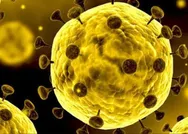 Koronavirüs Türkiyede nerede çıktı? Coronavirüsten nasıl korunulur? Koronavirüs belirtileri nelerdir, nasıl bulaşır?