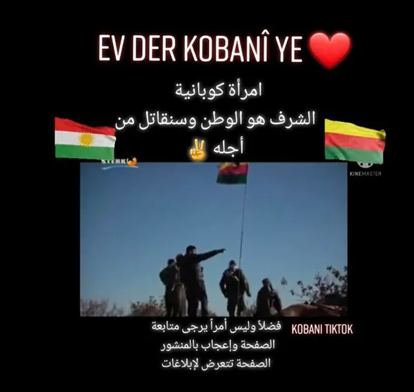 PYD/YPG terör örgütü mensuplarına operasyon! Dijital materyaller ele verdi-5