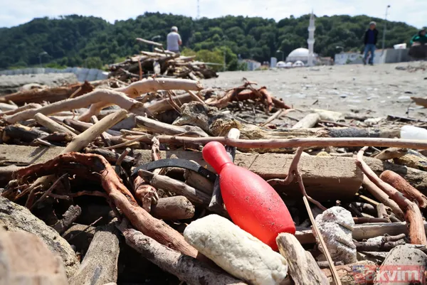 Sel felaketinin yaşandığı Kastamonu Bozkurt'ta çalışmalar sürüyor! Göktürk-1 Keşif Uydusu bölgeyi görüntüledi - 24