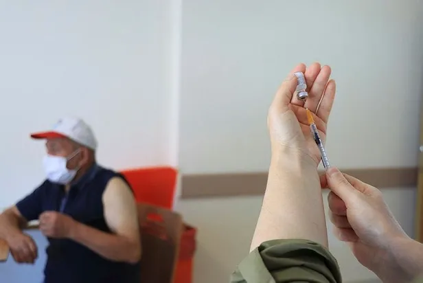 Koronavirüs geçirenler iki doz aşı olabilecek mi? Son dakika gelişmesi-5