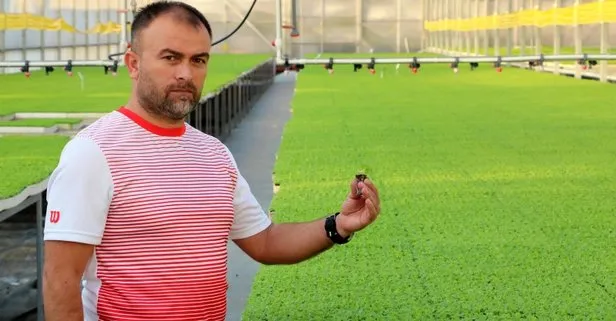 İşini bırakarak bu sektöre atıldı paraya para demiyor!