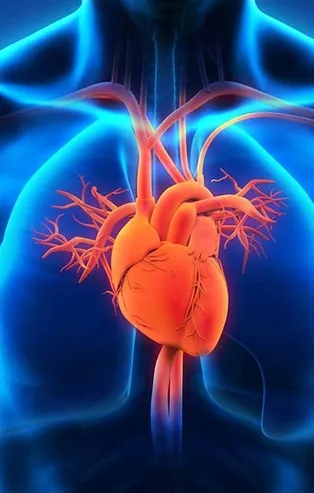 Kalbin sağlığını tehdit eden 5 faktör! İşte kalp sağlığını korumanın yolları