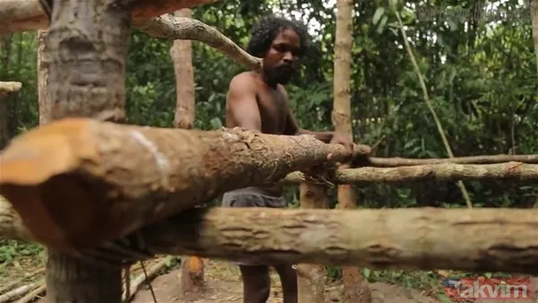 Sadece ağaç kullanarak öyle bir şey yaptı ki! YouTube videosu milyonlar izlendi - 13