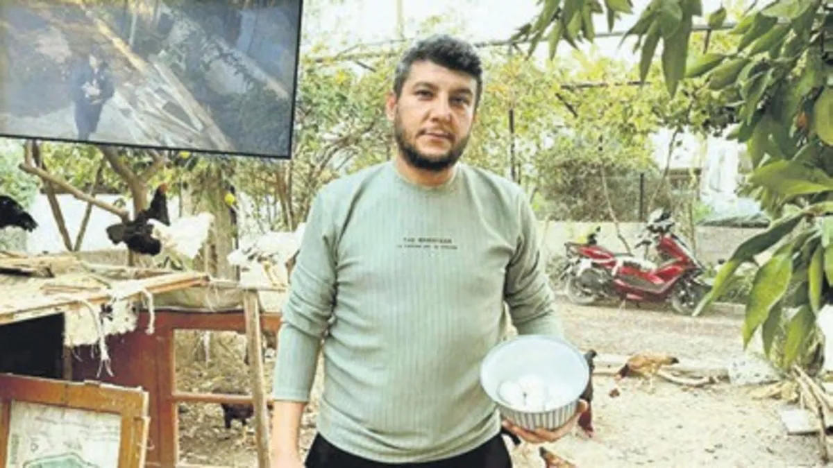 Osmaniye’de garip hırsızlık ! Mavi tavukları çamaşır ipinde çaldı