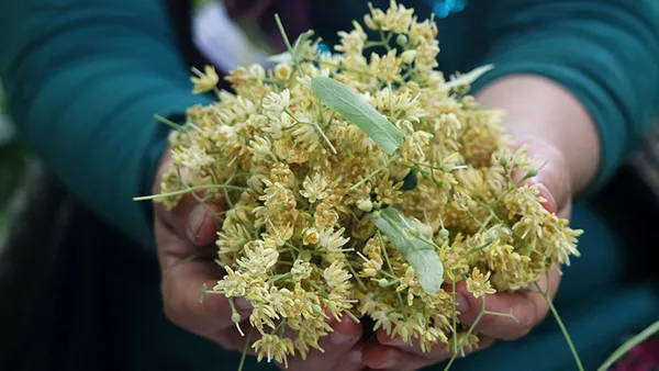 fiyati-altinla-yarisiyor-gramla-satin-aliniyor-1603703192635.jpg Fiyatı altınla yarışıyor! Gramla satın alınıyor-3