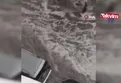 MGM uyarmıştı! Bahçelievler'e dolu yağdı!