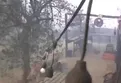 Çanakkale'de çıkan orman yangınının ilerleme hızı güvenlik kamerasında