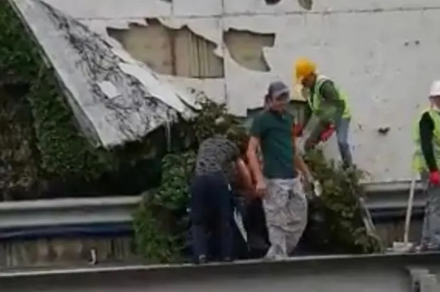 CHP'li İBB Başkanı Ekrem İmamoğlu yine dikey bahçe katliamında! Vatandaştan sert tepki!